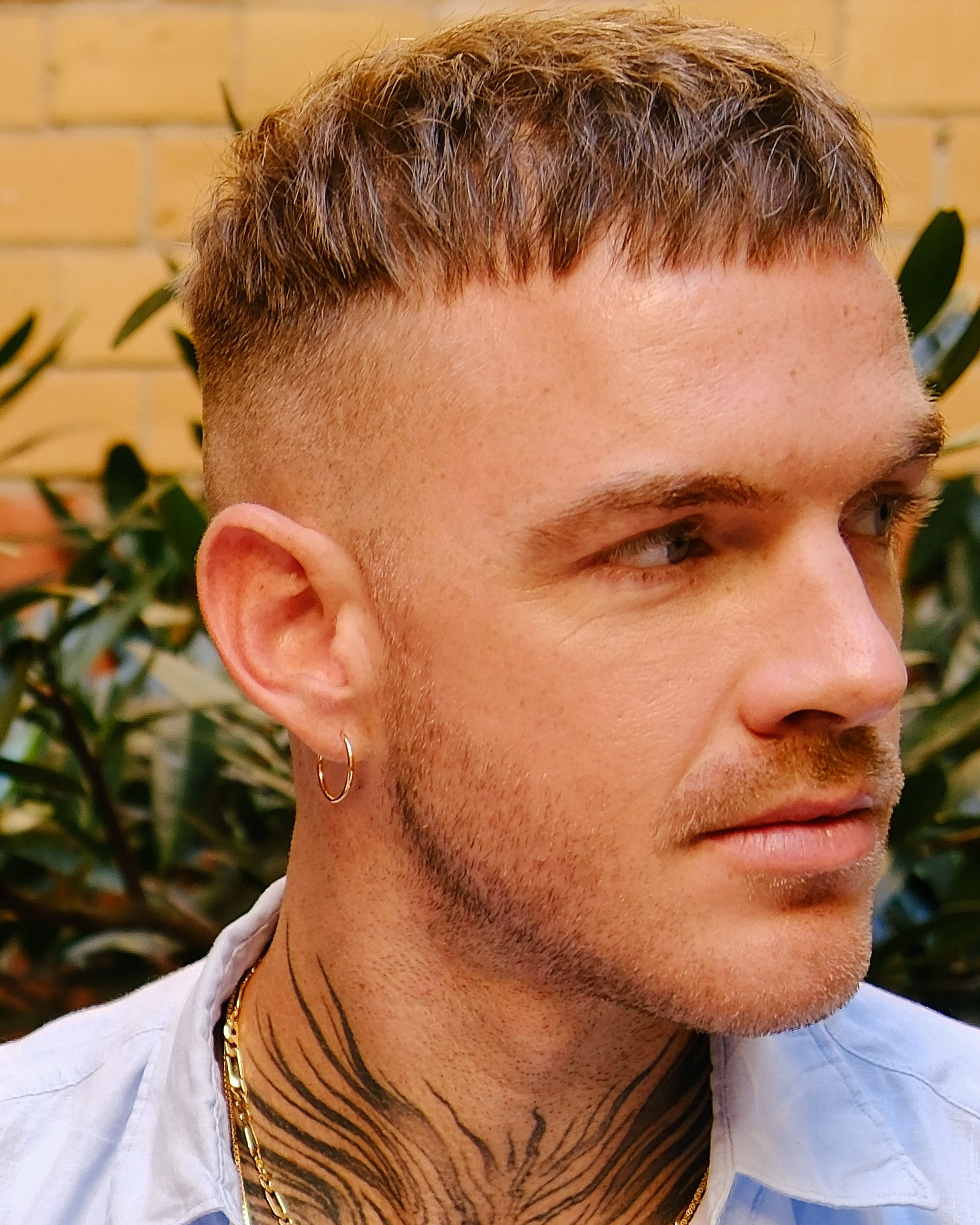 Cosimo Thin Hoops Medium